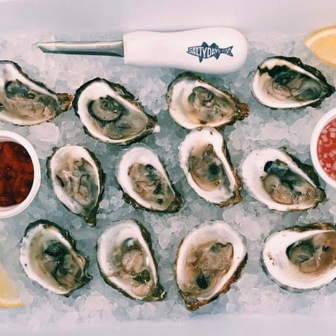 oysters-salty-days-fish